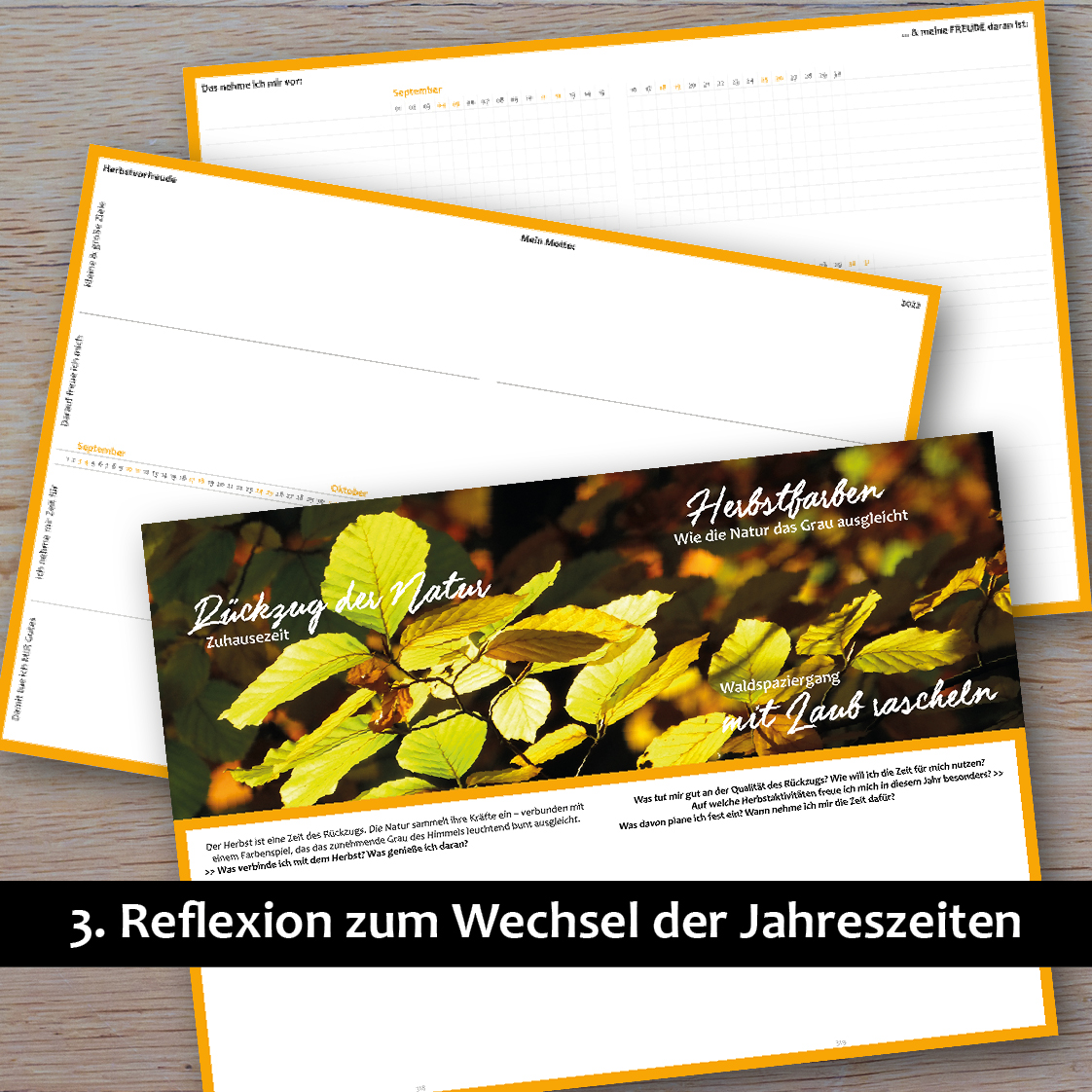 Aufbau_Freude Zeit Leben 2022_3
